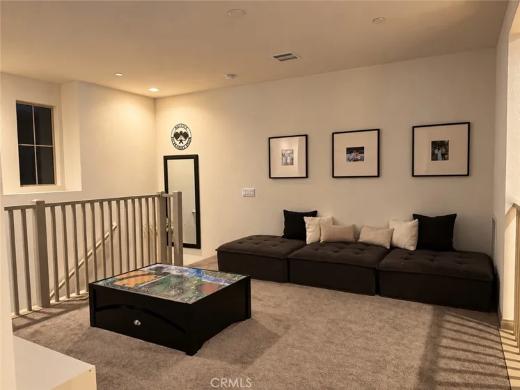 32229 Olea photo 23