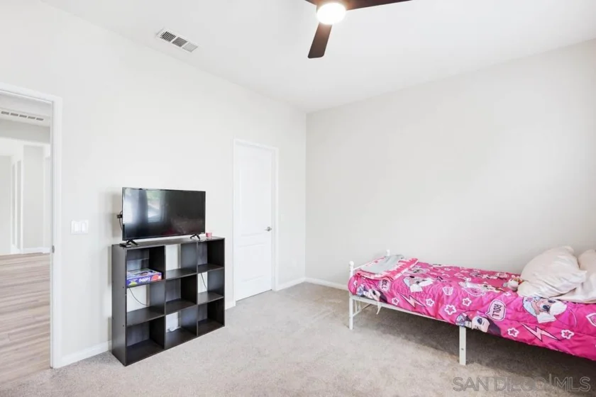 30303 Laruns Street photo 53