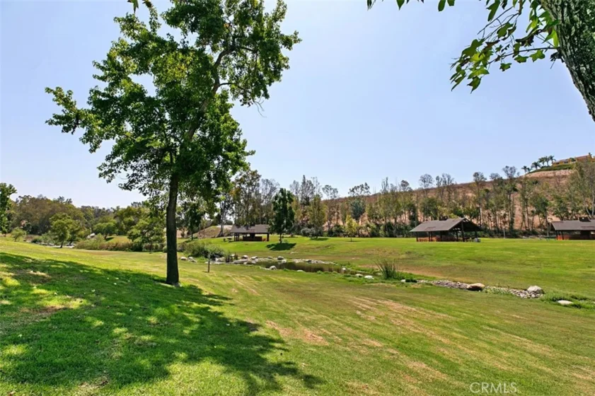 23626 Walters Court photo 43