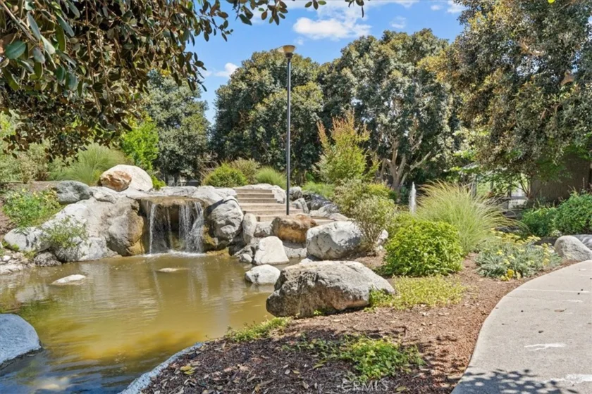 208 Springview photo 33