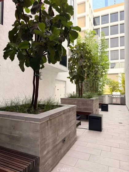 1234 Wilshire #233 photo 30