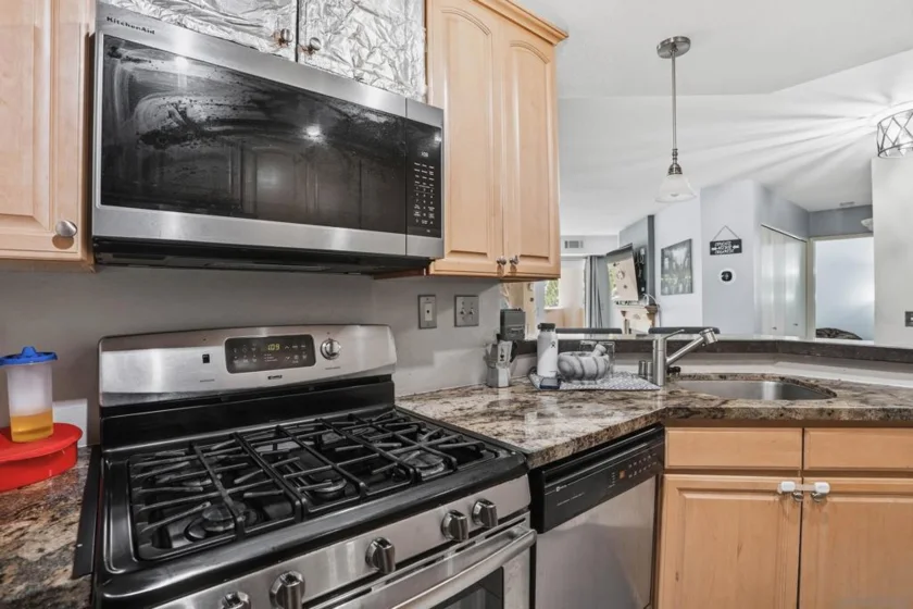 11115 Affinity Court #3 photo 6