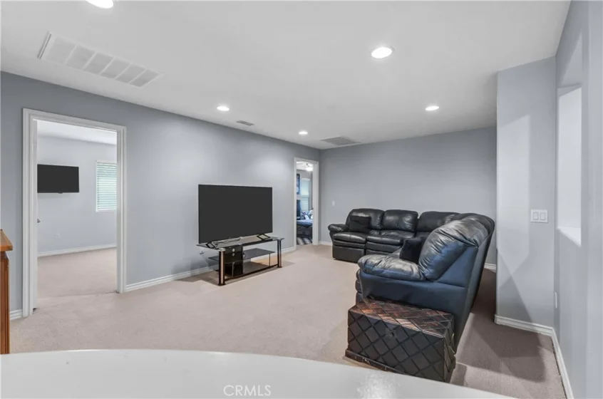 27126 Coral Bells Way photo 29
