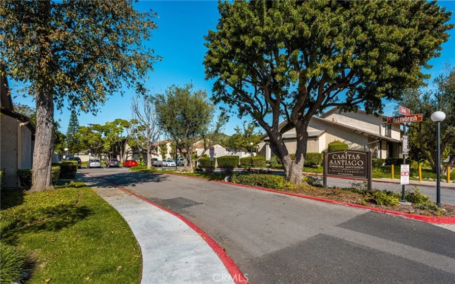 11701 Blackthorn photo 1