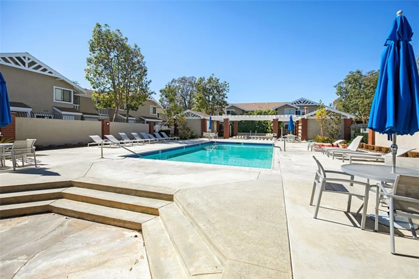 324 Tangelo photo 20