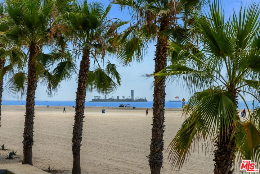 1000 E Ocean Boulevard #104 photo 37