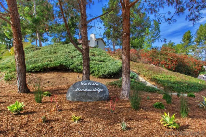 3152 Avenida Topanga photo 42