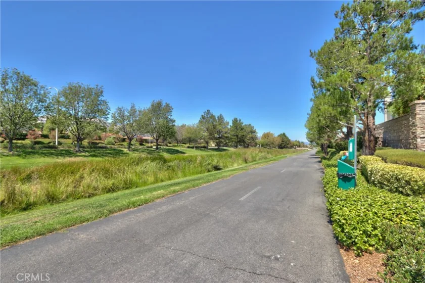 45743 Magnolia photo 47