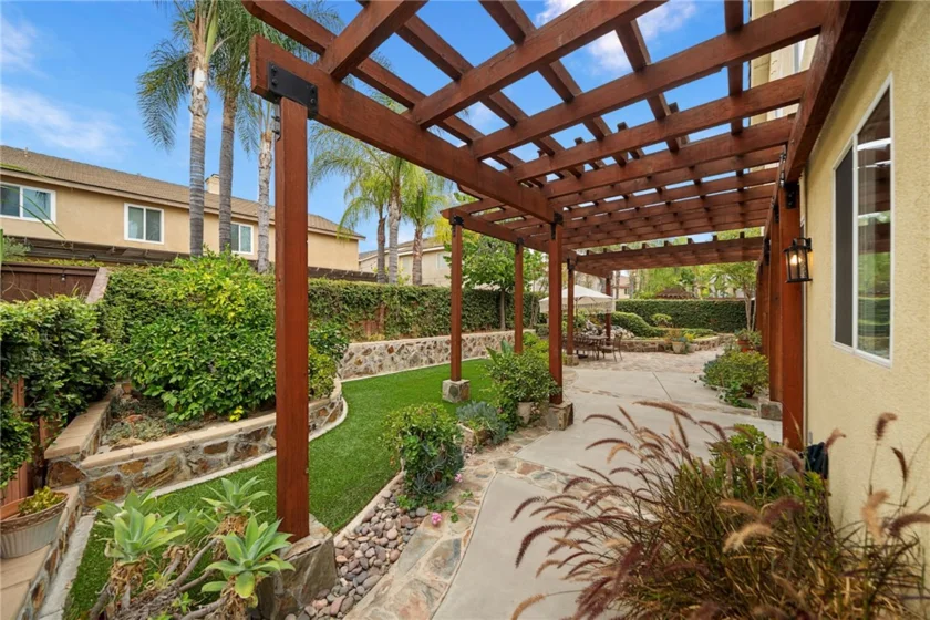 26352 Palm Tree photo 64