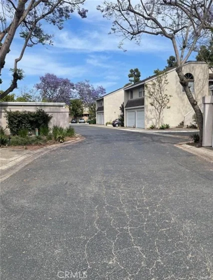 404 Brighton Springs photo 16