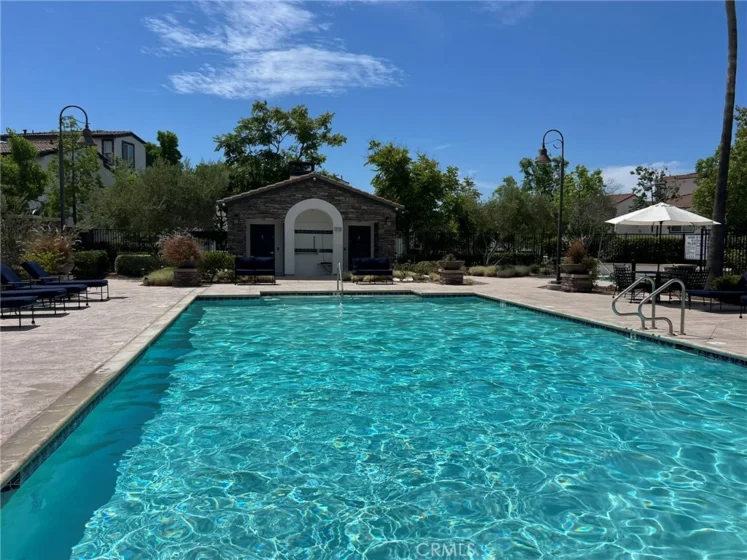 31888 Calle Luz photo 26