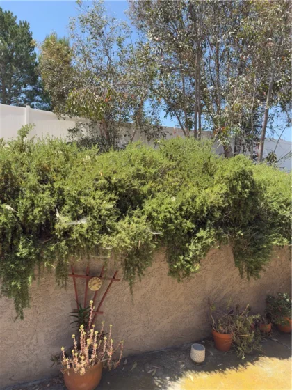 30311 Colina Verde Street photo 20