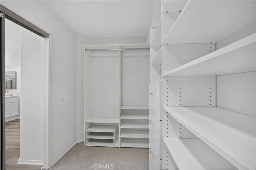 40221 Colony photo 12