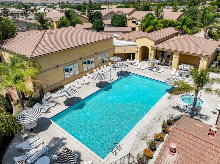 41410 Juniper photo 38