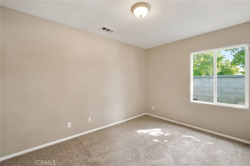 30580 Fox Sedge photo 20