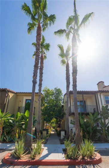 516 S Casita photo 6