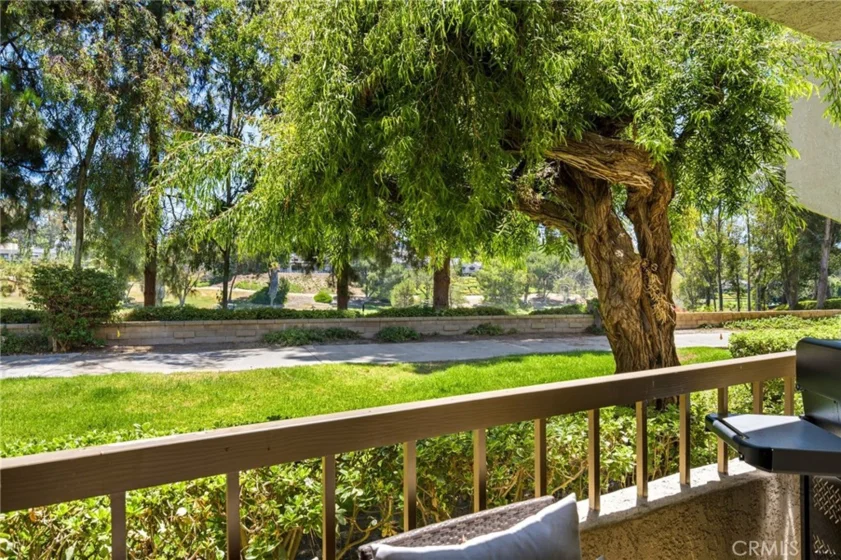 23406 Coso photo 1
