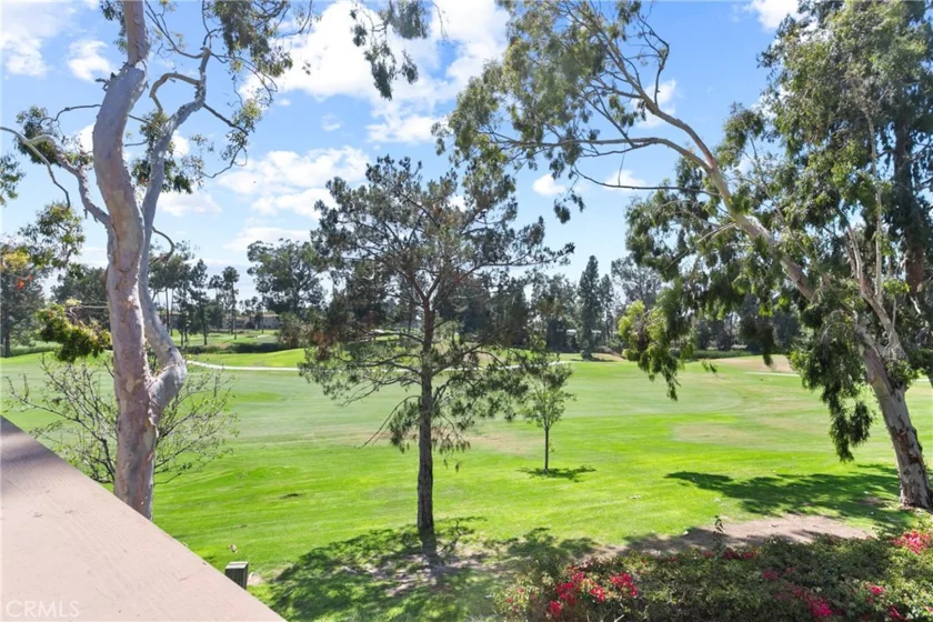 2960 Champion Way #1312 photo 1