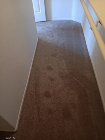 26451 Arboretum Way #3104 photo 17