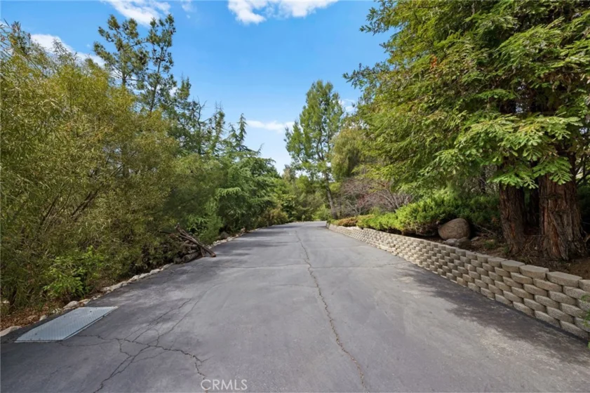 38565 Celine Cove photo 7