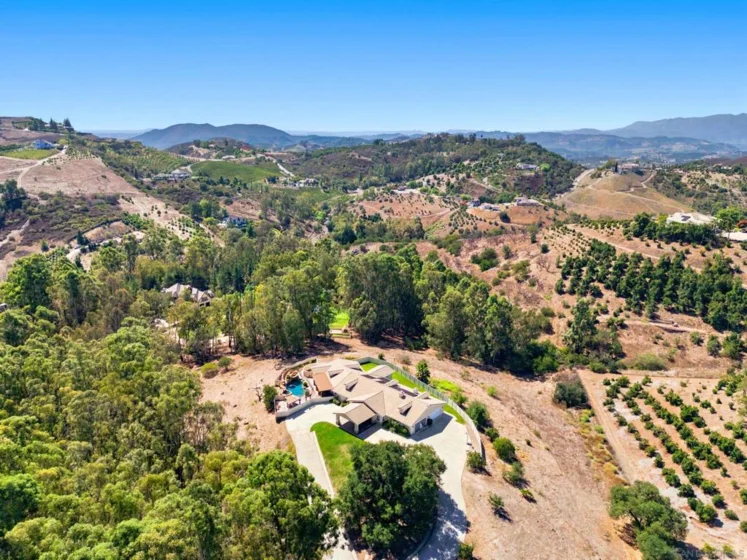 43821 Shady Creek photo 60