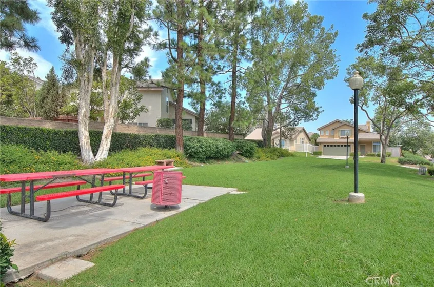 523 Towergrove photo 58