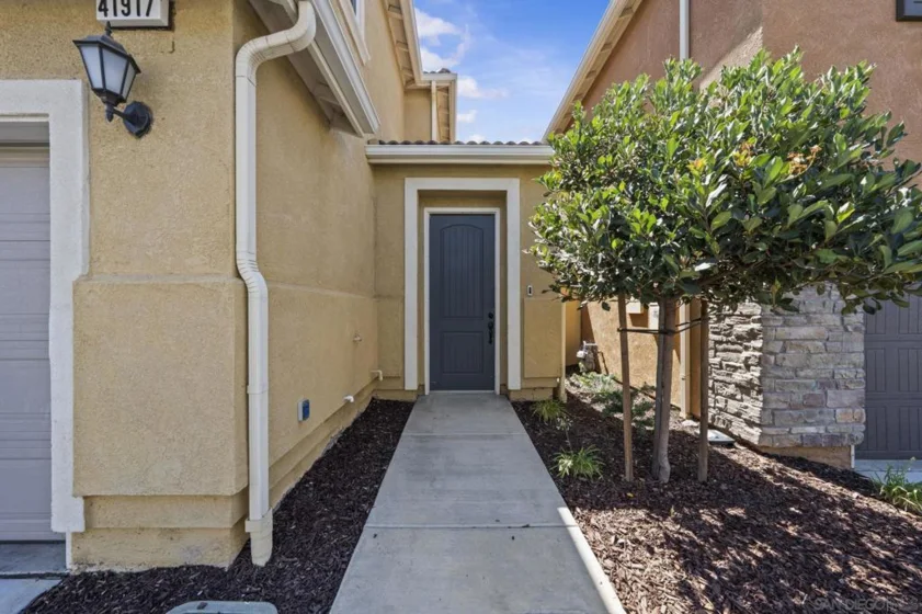 41917 Zafra Street photo 6