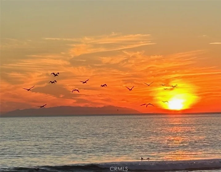 1200 Pacific Coast #426 photo 37