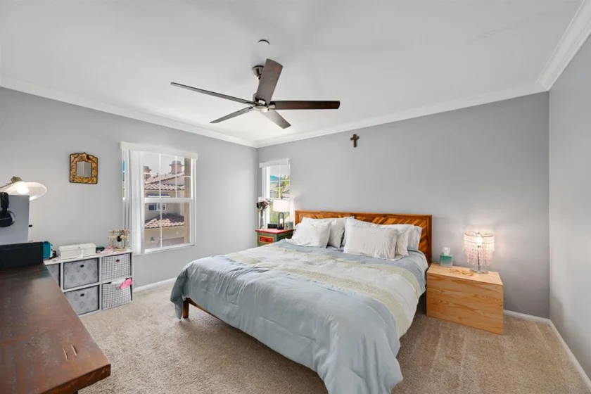 254 Aurora photo 12