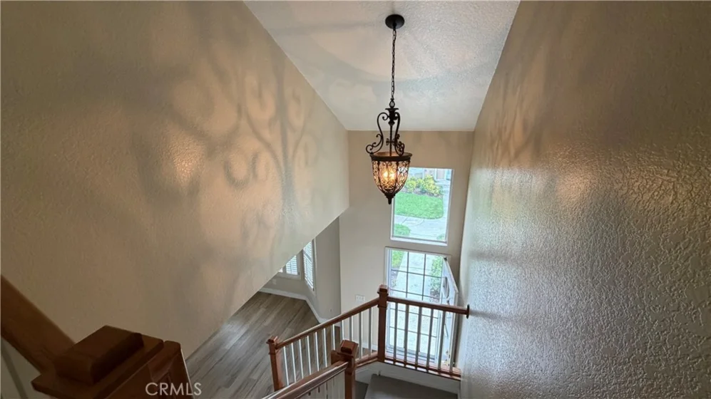 254 Monroe photo 13