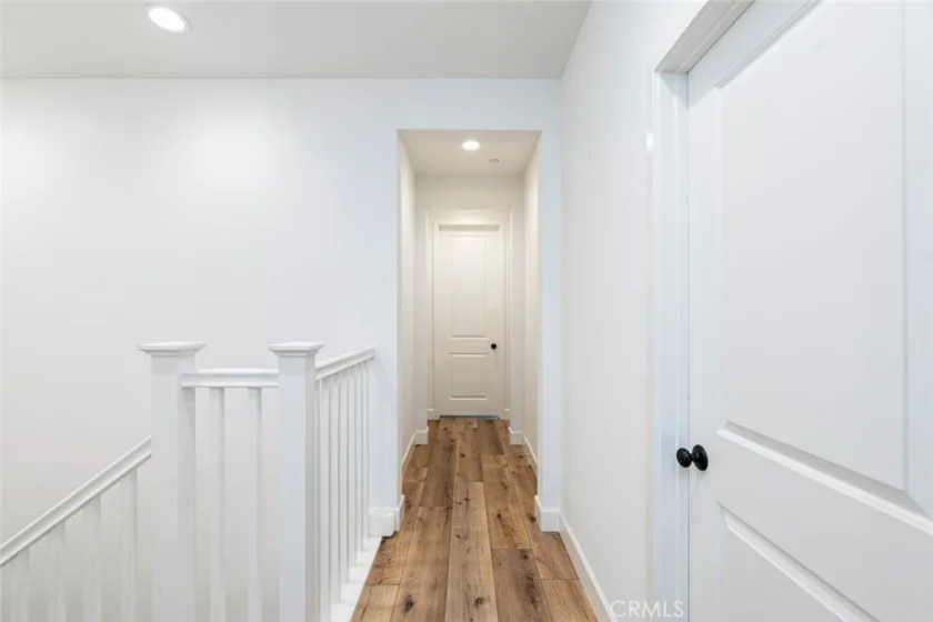 39438 Corvina photo 13