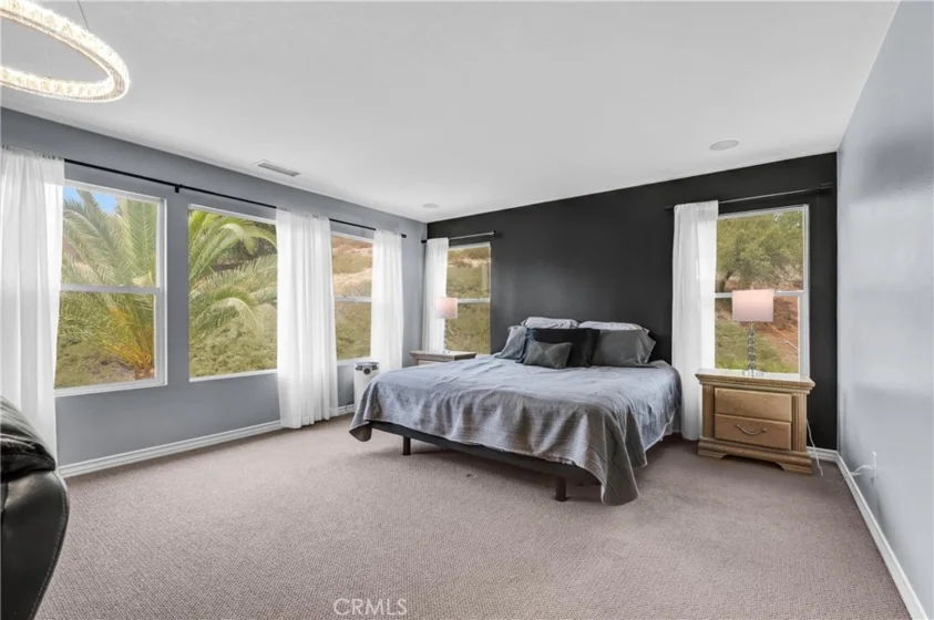 27126 Coral Bells Way photo 32