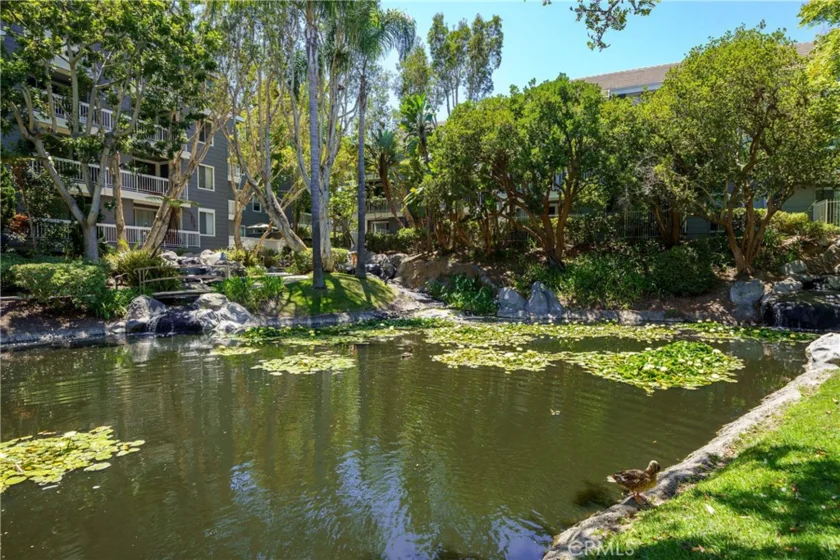 20301 Bluffside Circle #211 photo 31