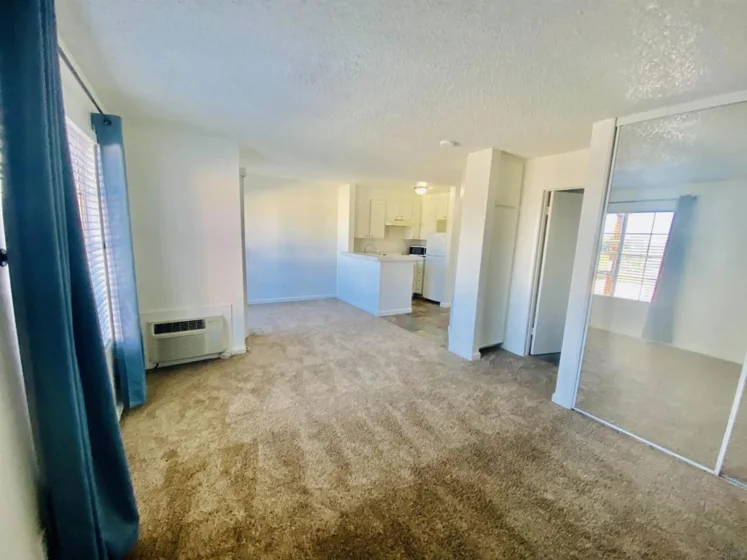 3950 Cleveland #208 photo 11