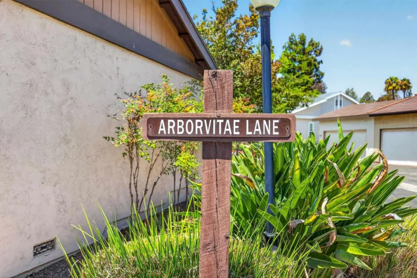 2207 Arborvitae photo 37