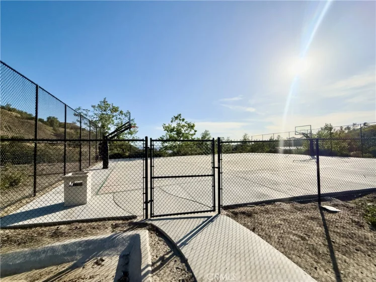27617 Bottle Brush Way photo 37