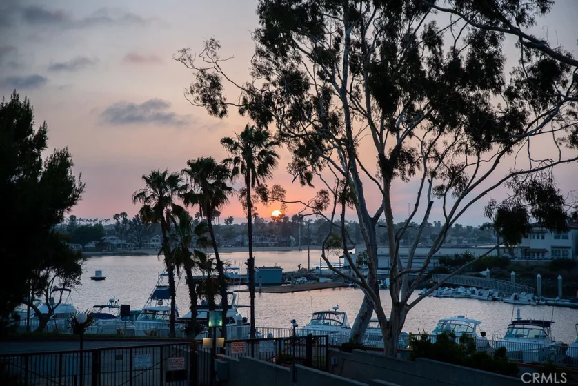 5203 S Marina Pacifica Drive photo 43