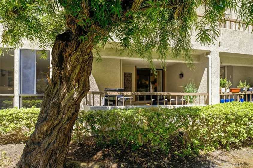 23406 Coso photo 42