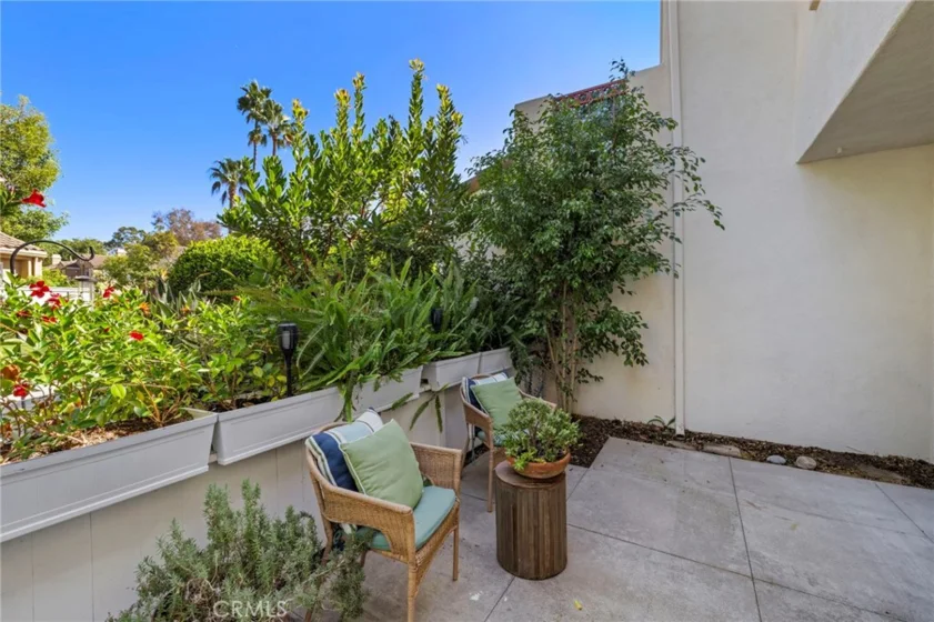 154 Chandon photo 17