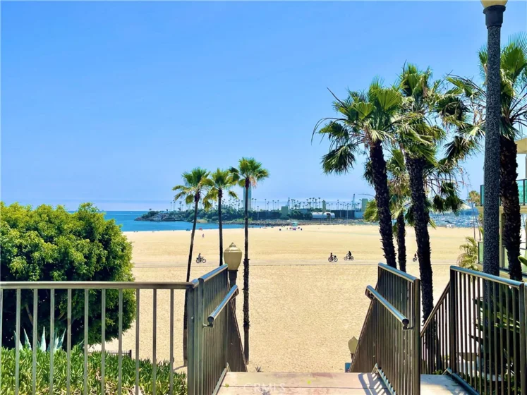 1030 E Ocean #703 photo 23