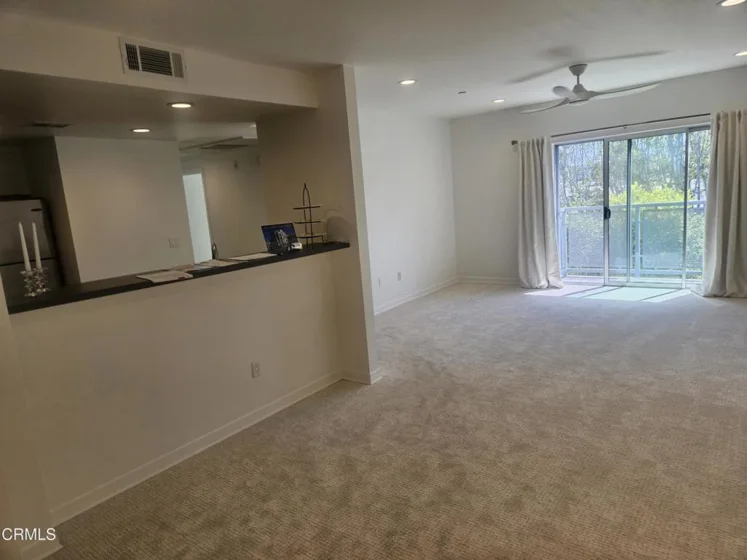 159 W Green Street #502A photo 27
