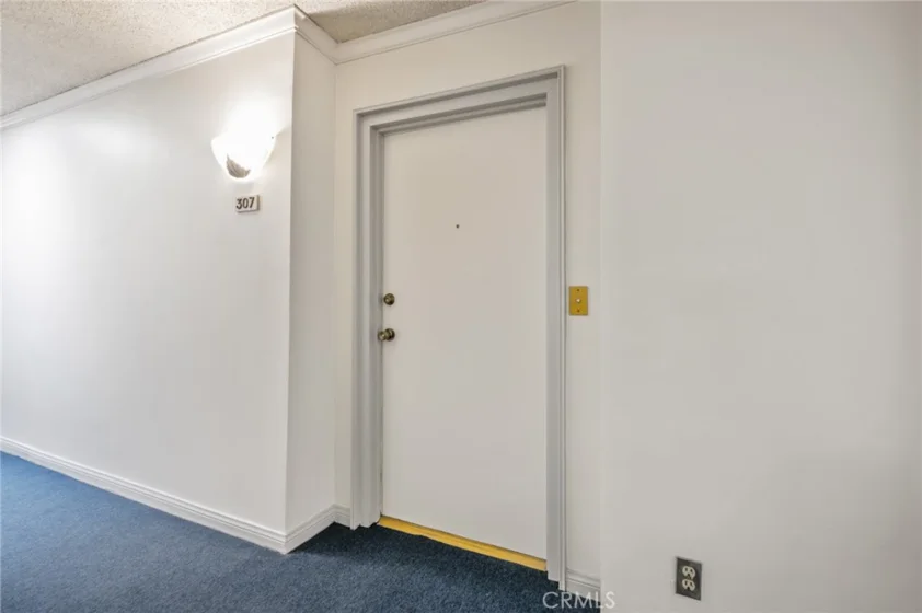 972 E California #307 photo 22