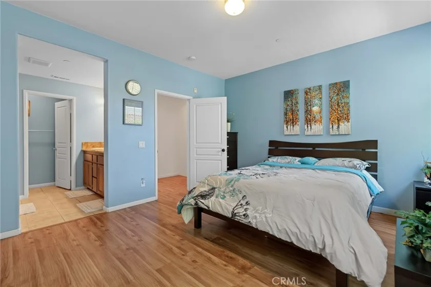 8053 Picasso photo 39