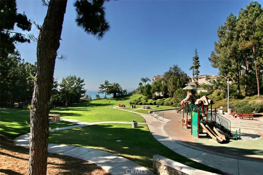 33611 Dana Vista Drive #31 photo 38