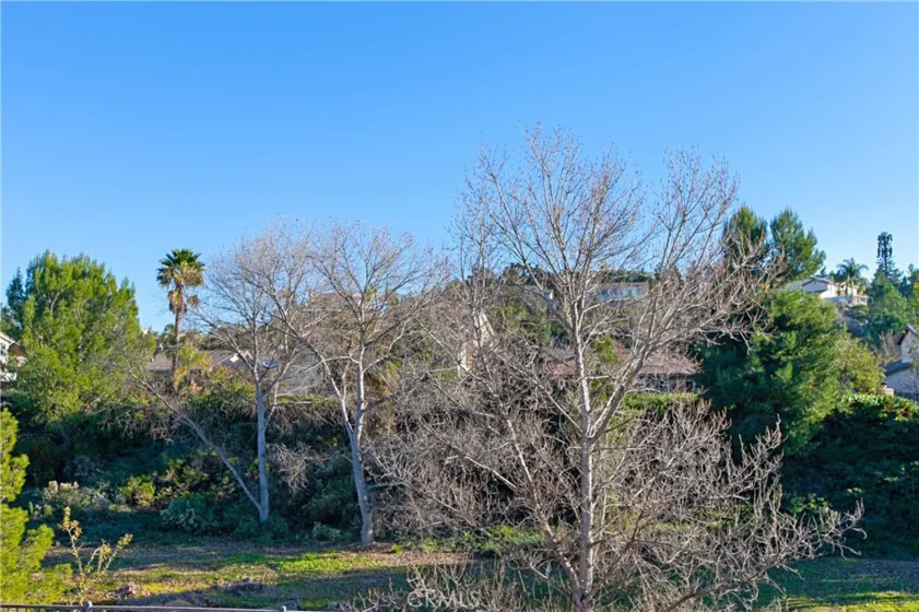 31383 Britton Circle photo 56