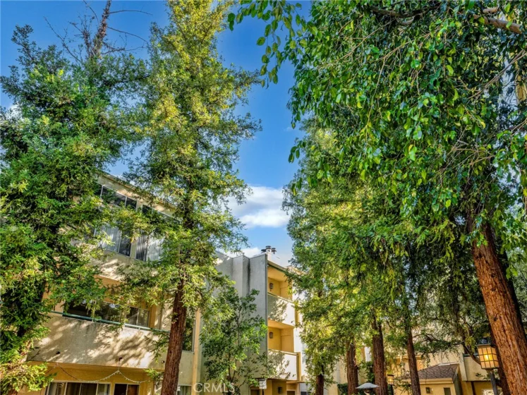 7800 Topanga Canyon Boulevard #216 photo 35