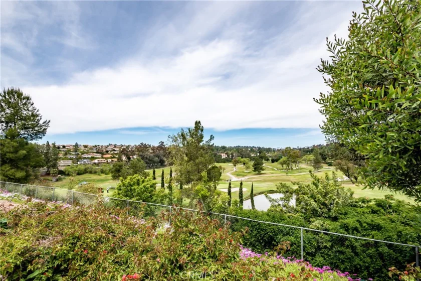 28149 Manchuca photo 46