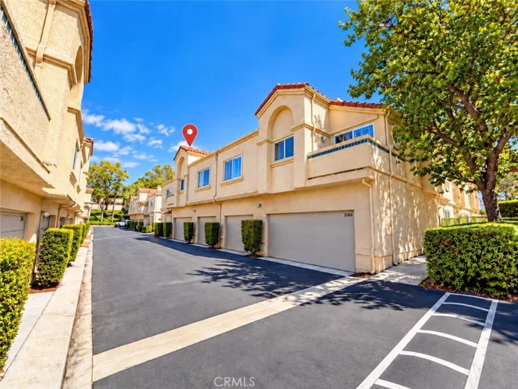 21156 Gladiolos photo 14