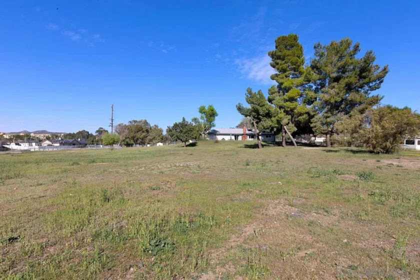 24567 Adams Avenue photo 37