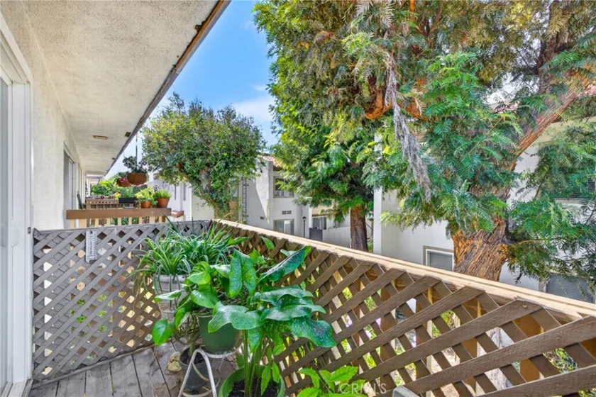 2521 W Sunflower #D 3 photo 19